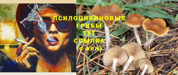 кокаин перу Нязепетровск